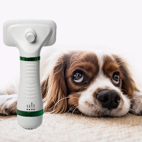 300W 3 in 1 Dog Hair Dryer Brush with Release Button Overheat Protection Adjustable Temp Portable Pet Grooming Hair Dryer